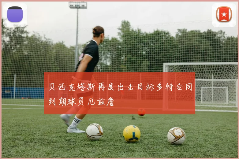 贝西克塔斯再度出击目标多特合同到期球员厄兹詹